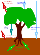 treecarbonedited.0 
